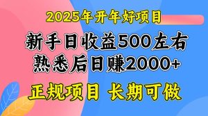 2025开年好项目,单号日收益2000左右_付费教程虚拟资源创业项目网-舜爸的藏宝库