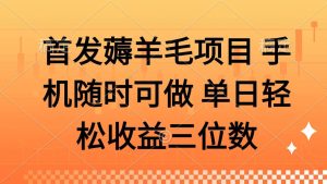 薅羊毛项目 手机随时可做 单日轻松收益三位数_付费教程虚拟资源创业项目网-舜爸的藏宝库