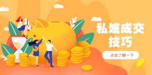 私域成交技巧，帮你从入门到精通，破解四大痛点，快速变现，轻松收钱_付费教程虚拟资源创业项目网-舜爸的藏宝库