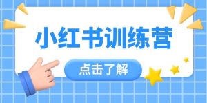 小红书训练营,助小白入门,掌握技巧变达人,课程实操又全面(12节课)_付费教程虚拟资源创业项目网-舜爸的藏宝库