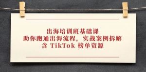 出海培训班基础课，助你跑通出海流程，实战案例拆解，含 TikTok 榜单资源_付费教程虚拟资源创业项目网-舜爸的藏宝库