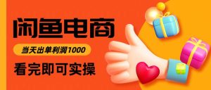 闲鱼高利润电商,入门到出单只需3小时,每天利润1000_付费教程虚拟资源创业项目网-舜爸的藏宝库