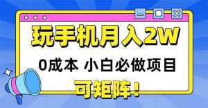 玩玩手机月入20000+,0成本小白必做项目,可矩阵_付费教程虚拟资源创业项目网-舜爸的藏宝库