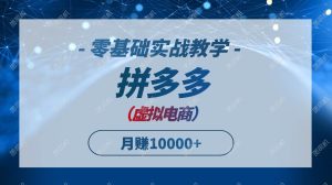 拼多多虚拟电商,零基础实战教学,快速打爆商品,新手也能月入10000+_付费教程虚拟资源创业项目网-舜爸的藏宝库