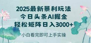 今日头条2025年最新暴利玩法,思路简单,复制粘贴,轻松实现矩阵日入3000+_付费教程虚拟资源创业项目网-舜爸的藏宝库
