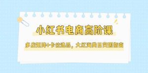 小红书电商高阶课,多店矩阵+卡位选品,大红海类目突围指南(更新5月)_付费教程虚拟资源创业项目网-舜爸的藏宝库