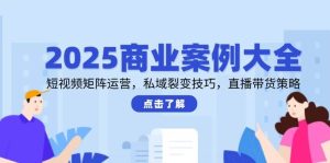 2025商业案例大全,短视频矩阵运营,私域裂变技巧,直播带货策略_付费教程虚拟资源创业项目网-舜爸的藏宝库
