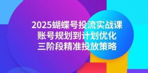 2025蝴蝶号投流实战课，账号规划到计划优化，三阶段精准投放策略_付费教程虚拟资源创业项目网-舜爸的藏宝库