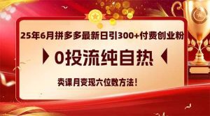 25年6月拼多多最新日引300+付费创业粉,0投流纯自热 卖课月变现六位数方法_付费教程虚拟资源创业项目网-舜爸的藏宝库
