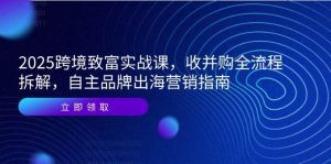 2025跨境致富实战课,收并购全流程拆解,自主品牌出海营销指南_付费教程虚拟资源创业项目网-舜爸的藏宝库