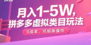 月入1-5W，拼多多虚拟类目玩法，0成本，可矩阵操作_付费教程虚拟资源创业项目网-舜爸的藏宝库