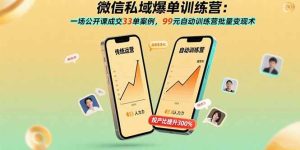 微信私域爆单训练营：一场公开课成交33单案例，99元自动训练营批量变现术_付费教程虚拟资源创业项目网-舜爸的藏宝库