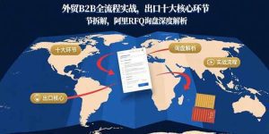 外贸B2B全流程实战,出口十大核心环节拆解,阿里RFQ询盘深度解析_付费教程虚拟资源创业项目网-舜爸的藏宝库