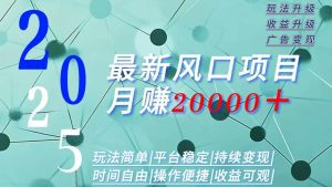 2025广告赛道新风口-月赚2W＋玩法简单，时间自由_付费教程虚拟资源创业项目网-舜爸的藏宝库