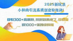 2025新玩法小和尚引流高质创业粉秘诀!日引300+高质粉,抗封效果绝了_付费教程虚拟资源创业项目网-舜爸的藏宝库