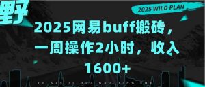 2025网易buff搬砖，一周操作2小时，收入1600+_付费教程虚拟资源创业项目网-舜爸的藏宝库