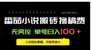 番茄小说创作人搬砖赚稿费,无风控单号日入100+,小白轻松掌握_付费教程虚拟资源创业项目网-舜爸的藏宝库