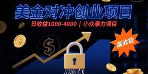 美金对冲创业项目，日收益1000-4000，小众暴力项目_付费教程虚拟资源创业项目网-舜爸的藏宝库