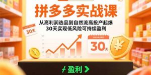 拼多多实战课:从高利润选品到自然流高投产起爆 30天实现低风险可持续盈利_付费教程虚拟资源创业项目网-舜爸的藏宝库