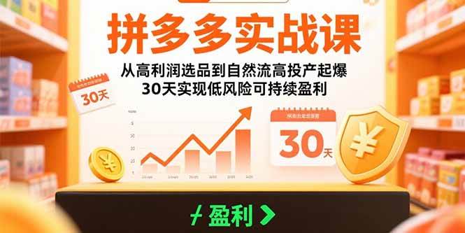 图片[1]-拼多多实战课：从高利润选品到自然流高投产起爆 30天实现低风险可持续盈利_付费教程虚拟资源创业项目网-舜爸的藏宝库