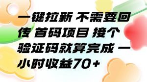 一键拉新 不需要回传 首码项目 接个验证码就算完成 一小时收益70+_付费教程虚拟资源创业项目网-舜爸的藏宝库