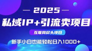 2025网创尽头项目,私域IP+引流,新手小白也能在家日入1000+_付费教程虚拟资源创业项目网-舜爸的藏宝库