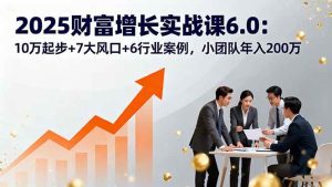 2025财富增长实战课6.0：10万起步+7大风口+6行业案例，小团队年入200万_付费教程虚拟资源创业项目网-舜爸的藏宝库