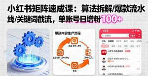 小红书矩阵起号速成课：算法拆解/爆款流水线/关键词截流 单账号日增粉100+_付费教程虚拟资源创业项目网-舜爸的藏宝库