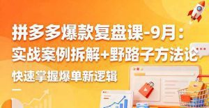拼多多爆款复盘课-9月:实战案例拆解+野路子方法论,快速掌握爆单新逻辑_付费教程虚拟资源创业项目网-舜爸的藏宝库