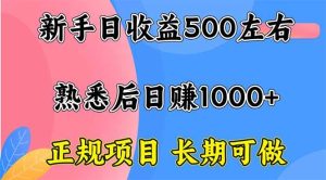 新手日收益500+ 正规项目 长期可做_付费教程虚拟资源创业项目网-舜爸的藏宝库